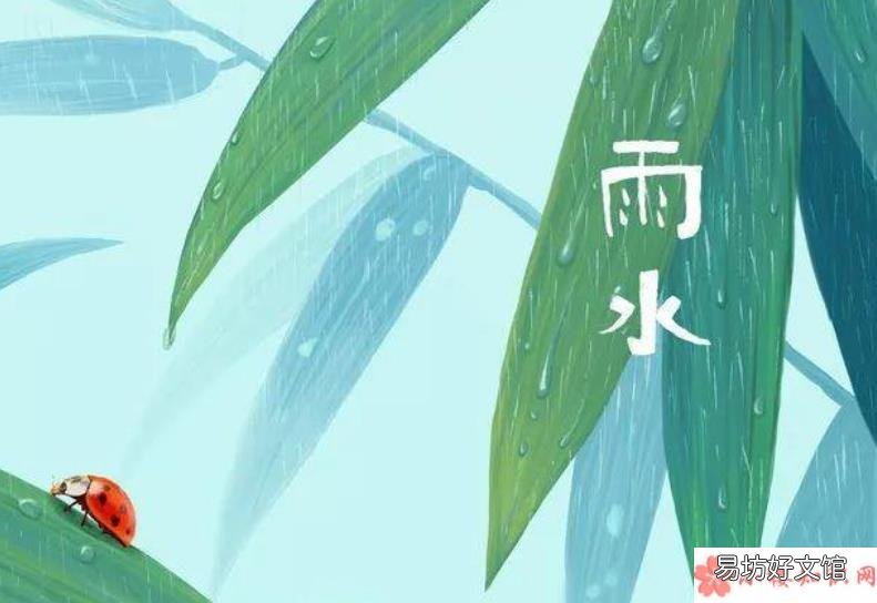 雨水节气的个性祝福语文案大全 2020关于雨水节气的经典说说祝福语