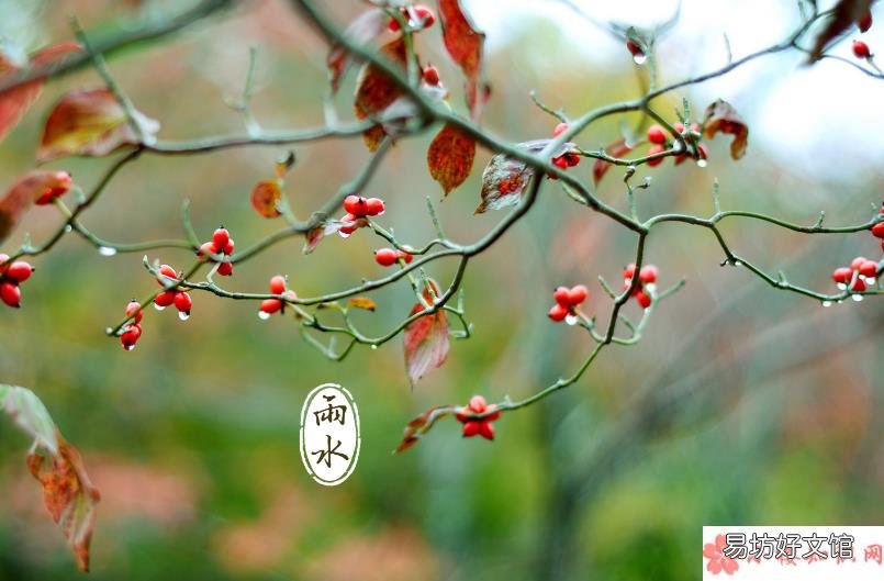 雨水节气的个性祝福语文案大全 2020关于雨水节气的经典说说祝福语