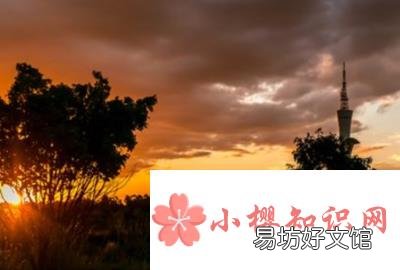 巴西首都是哪个城市