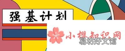 强基计划怎么报名？