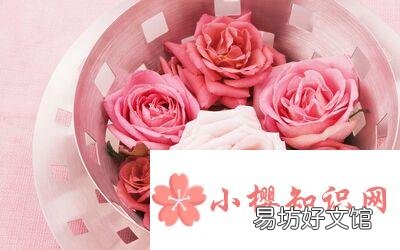 送老婆什么生日禮物好？