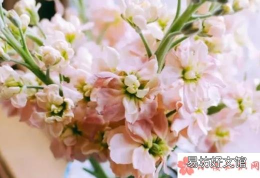 表达分手的文艺句子大全 如何文艺的表达分手了