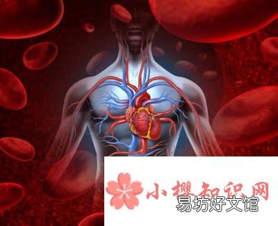 月字旁的字跟什么有关?