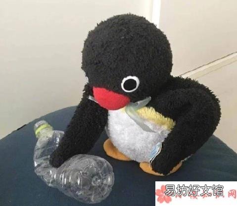 拼单式假名媛现象你怎么看 如何看待上海名媛群