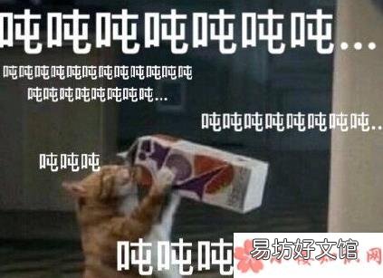 可爱的朋友圈喝奶茶文案 关于奶茶的搞笑段子