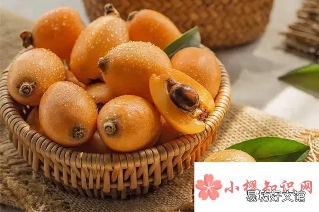 吃枇杷的禁忌有哪些？