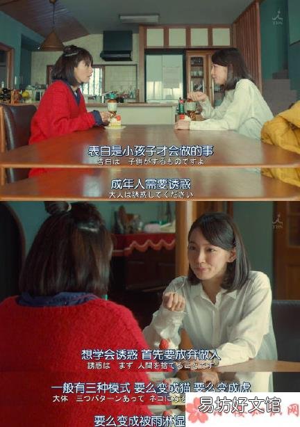 成年人爱情告白套路是什么 猫老虎被雨淋湿的狗狗是什么意思