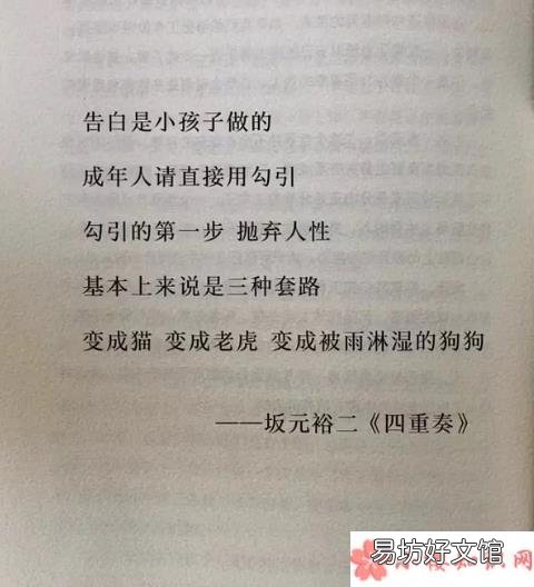 成年人爱情告白套路是什么 猫老虎被雨淋湿的狗狗是什么意思