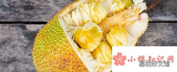 菠萝蜜怎么保存?