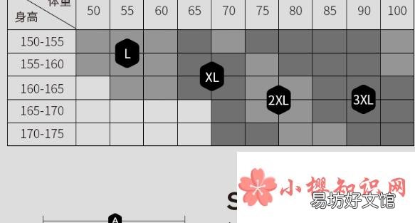 xl是175还是180?
