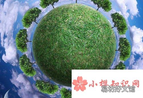 世界环境日宣传标语有哪些?