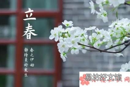 2月4日答案介绍 蚂蚁新村标志着一年农业之始的节气是