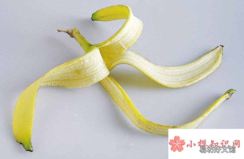 家里有蟑螂怎么办能除根?
