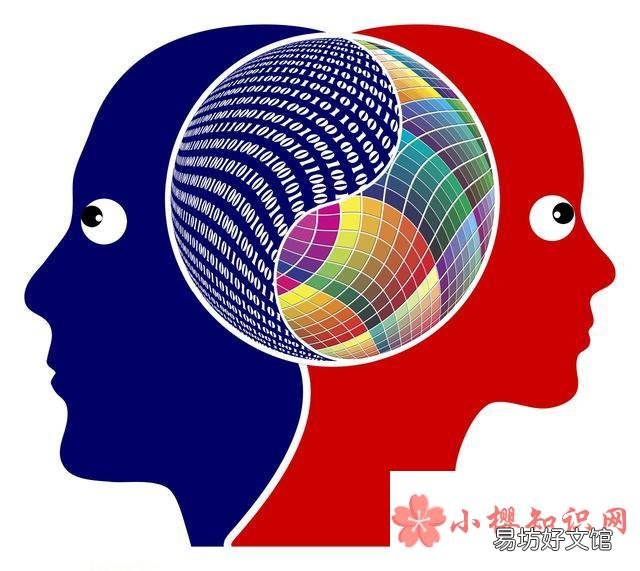 右脑型的人是什么样的人?