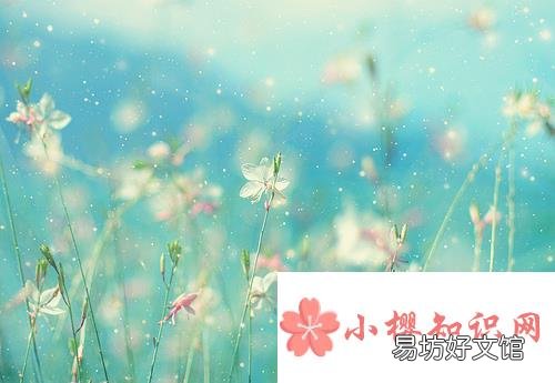 2021年简单有气质的女网名有哪些?