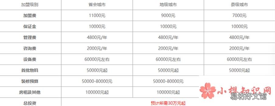 10萬能不能開蜜雪冰城？