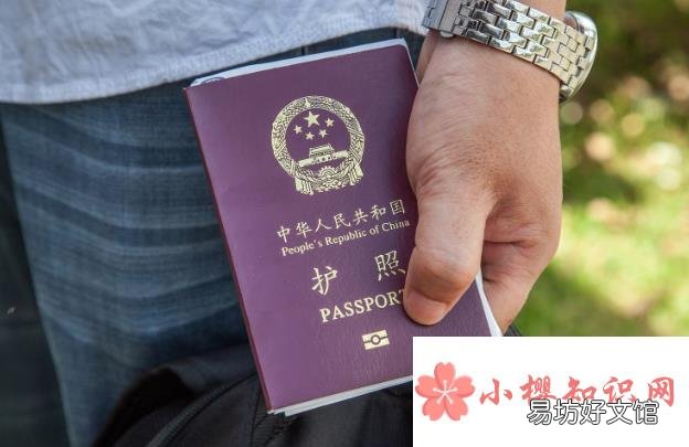 护照怎么办理?在哪里办理?多少钱?