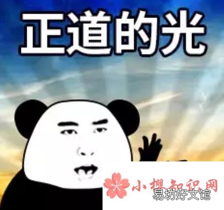 正道的光是什么梗