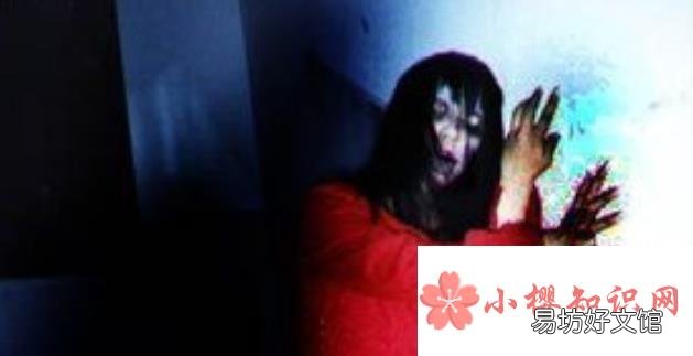 红姨是什么梗