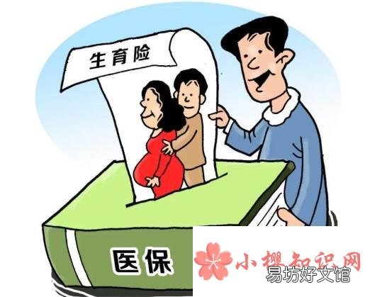 生育保险可以自己买吗?
