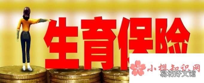 生育保险可以自己买吗?
