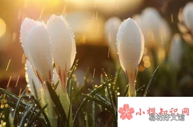 拍一拍的调皮句子有哪些？