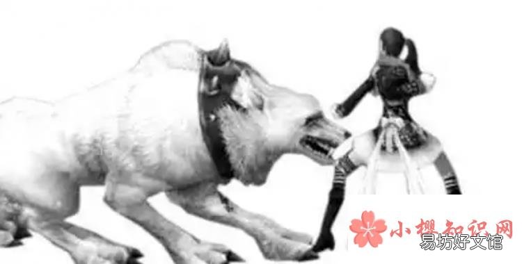 空手套白狼是什么意思