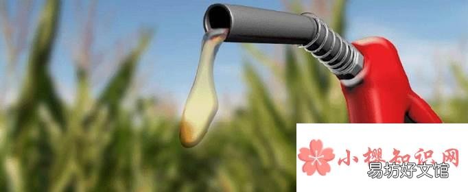 哪种油的沸点比水的低?