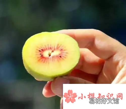 奇异果又叫什么名字?