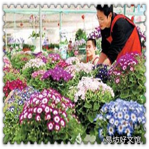 温州钻戒哪里买 钻戒在哪里买比较靠谱