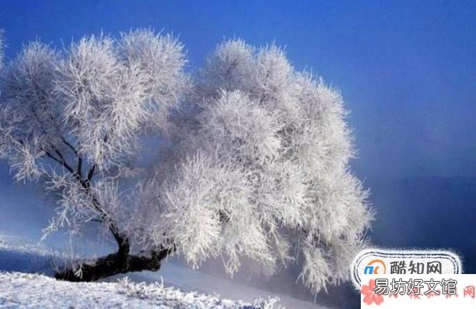 雾凇是怎么形成的