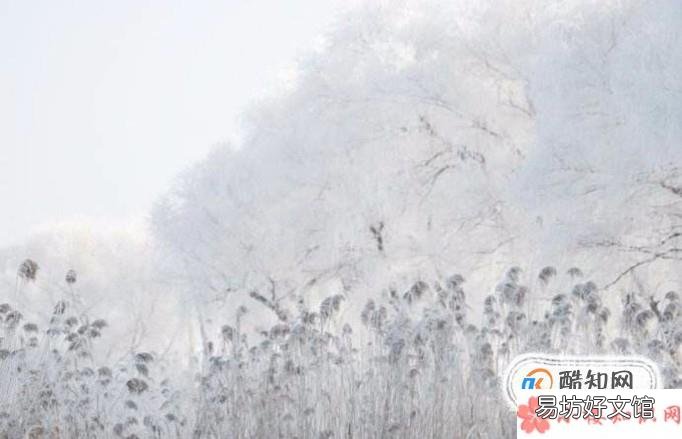 雾凇是怎么形成的