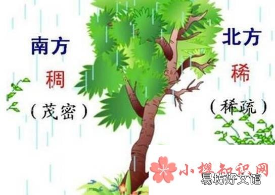 迷路后怎么辨别方向