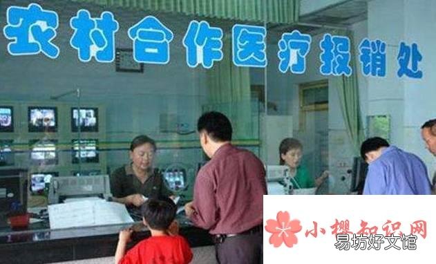 合作医疗在手机上怎么交款?