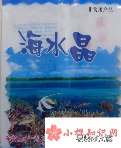 海水寄居蟹怎么养