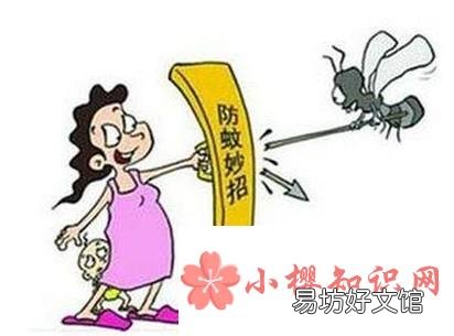 怎样用安全无毒的方法灭蚊子和蟑螂