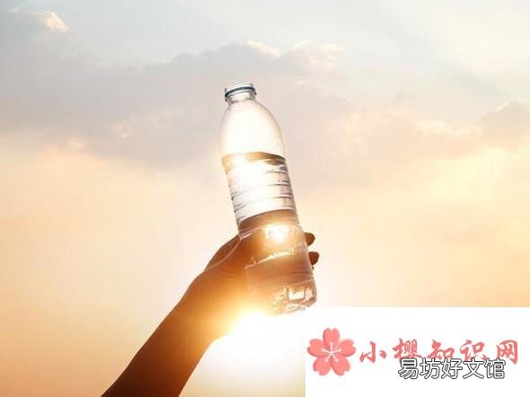 长寿花水培的养殖方法