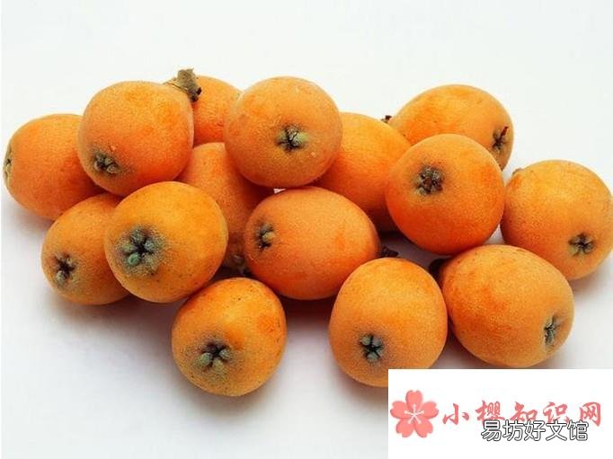 吃枇杷的好处与注意事项
