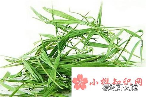 淡竹叶能吃吗?淡竹叶有哪些功效与作用?