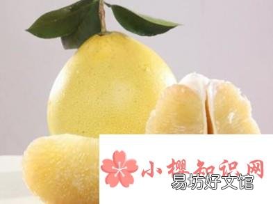 夏天吃10种水果不上火