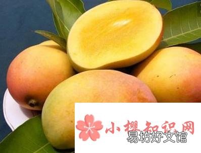 夏天吃10种水果不上火