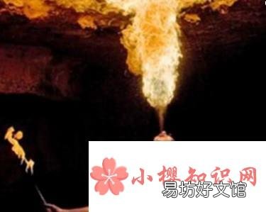 夏天吃10种水果不上火