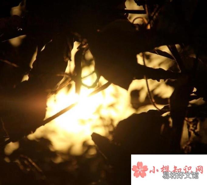 如何去迈过那些艰难的岁月？