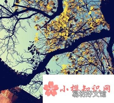 如何去迈过那些艰难的岁月？