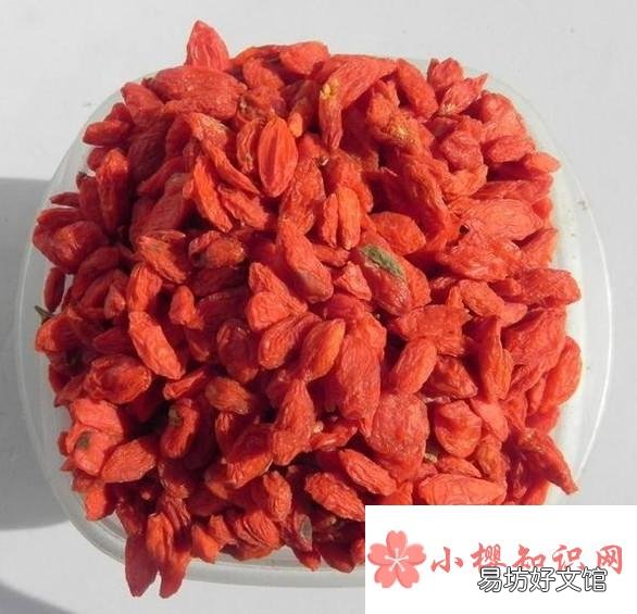 枸杞怎么吃最好