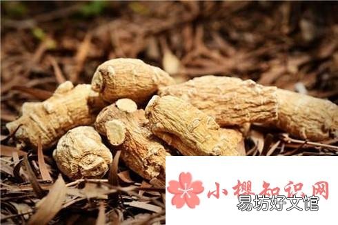 西洋参如何辨别好坏?