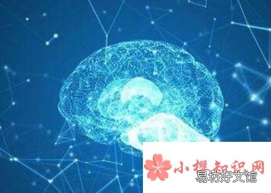 多巴胺的作用是什么?