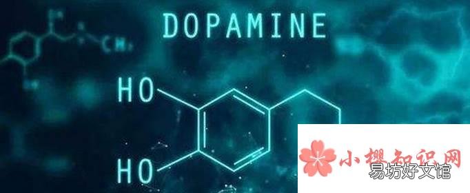 多巴胺的作用是什么?