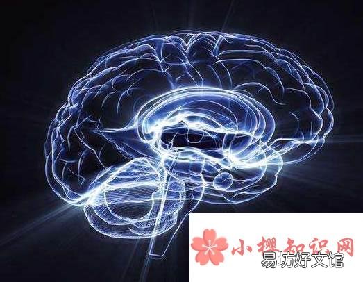 多巴胺的作用是什么?