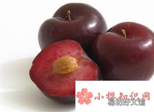 李子种子种在地里能出不